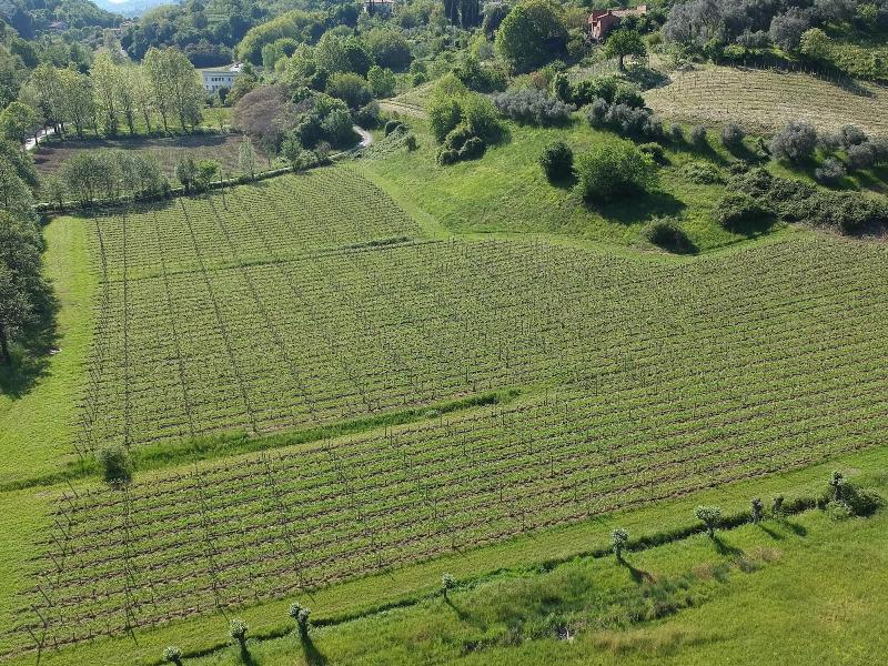 Villa Lovi image