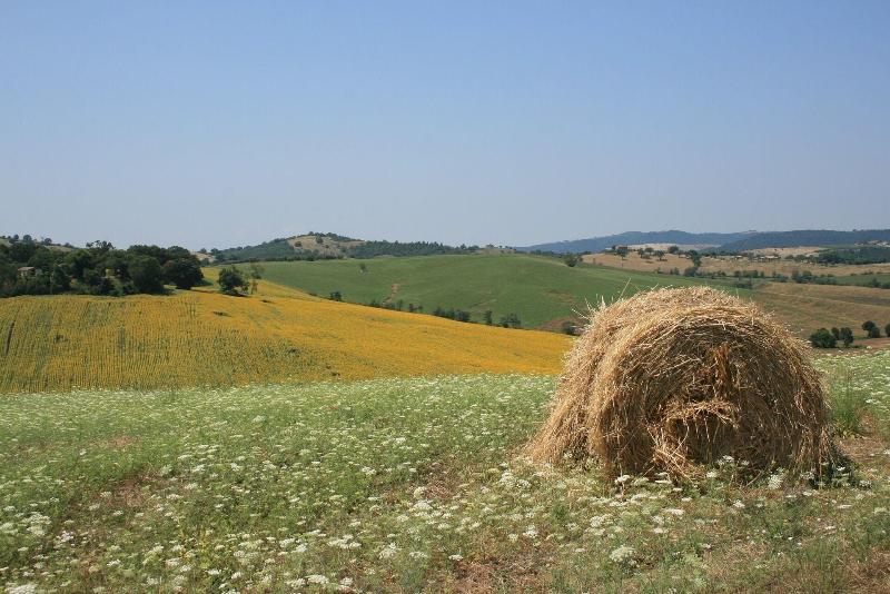 Podere Maremma Spa & Ristorante image