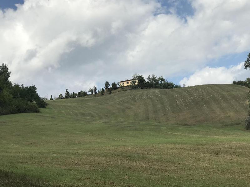 Agriturismo Pizzicalaluna image