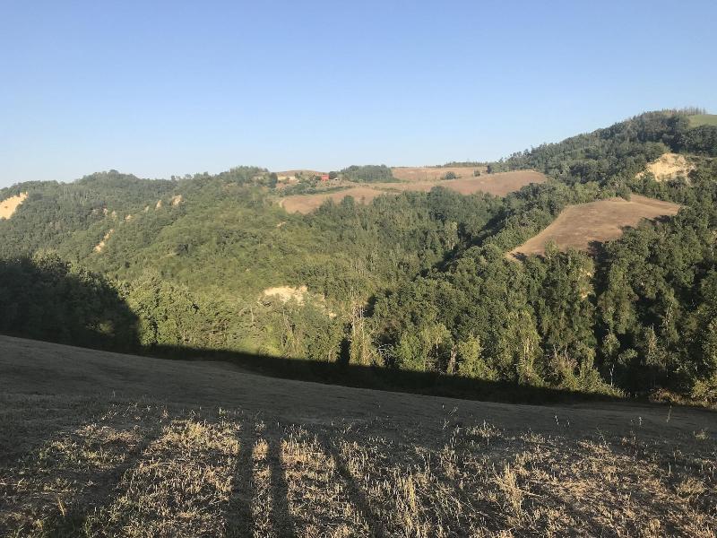 Agriturismo Pizzicalaluna image