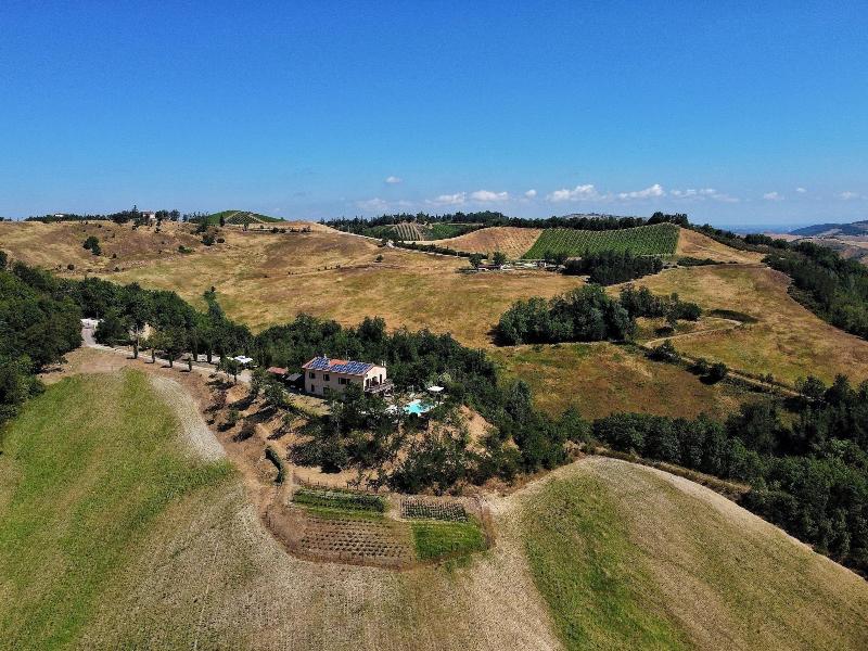Agriturismo Pizzicalaluna image