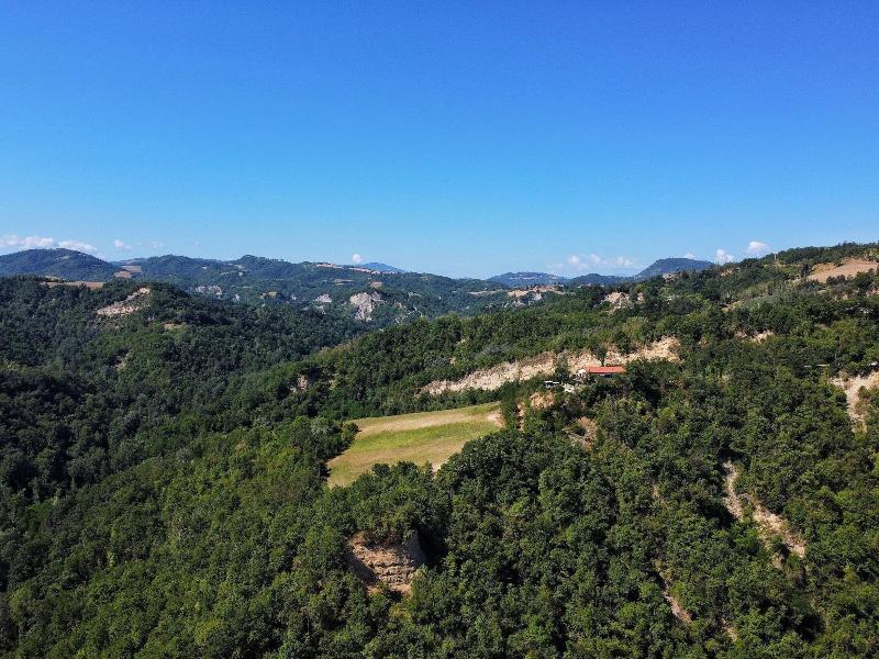 Agriturismo Pizzicalaluna image