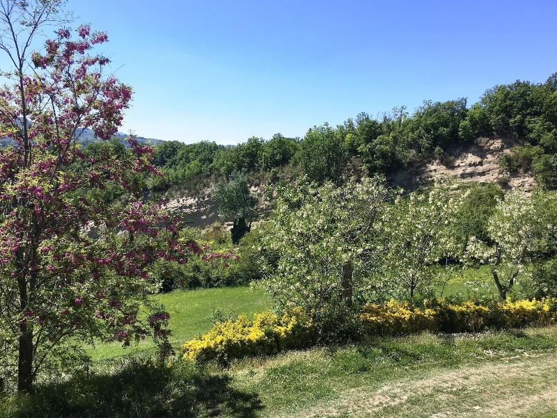 Agriturismo Pizzicalaluna image