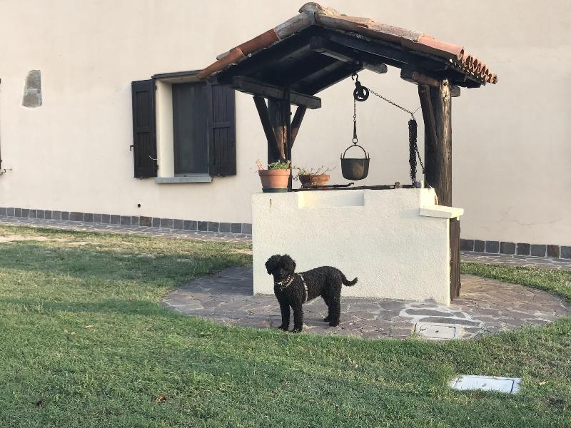 Agriturismo Pizzicalaluna image