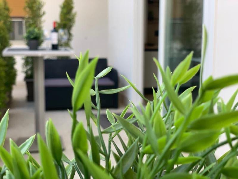 Thalya Luxury Rooms image