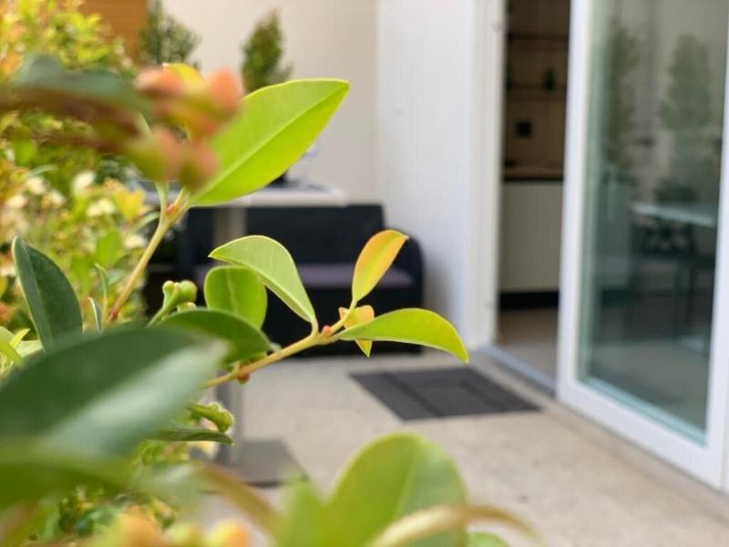 Thalya Luxury Rooms image