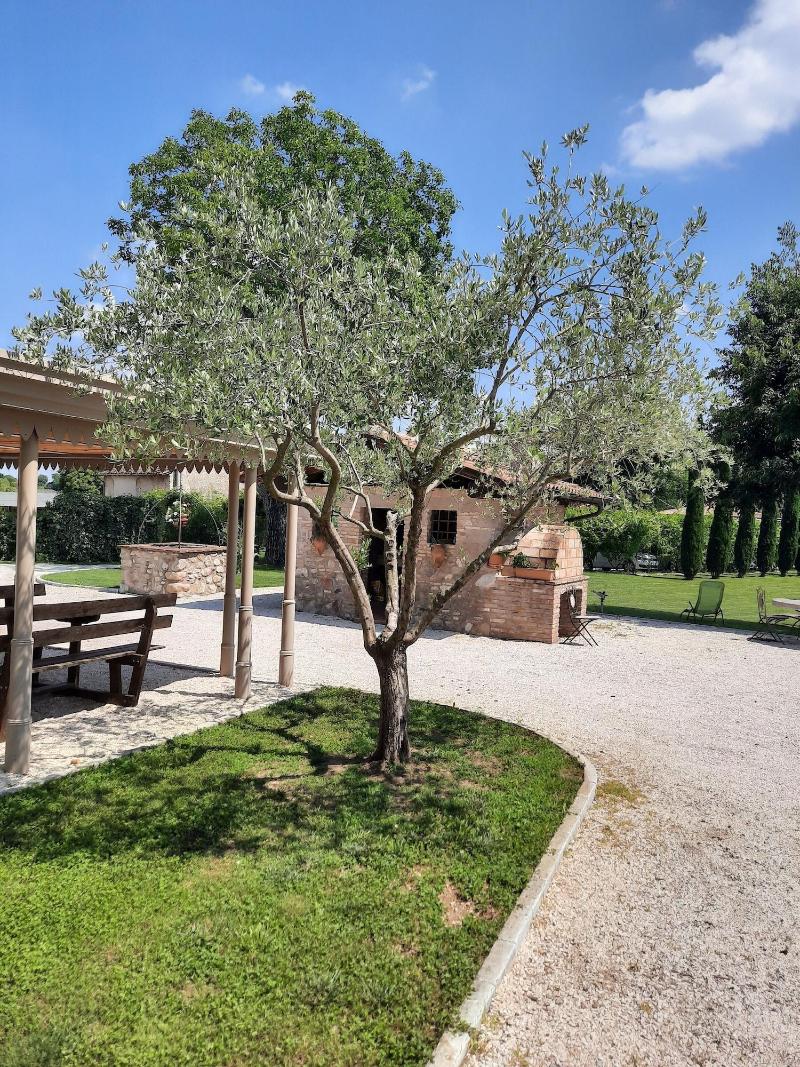 Agriturismo Corte Davini image