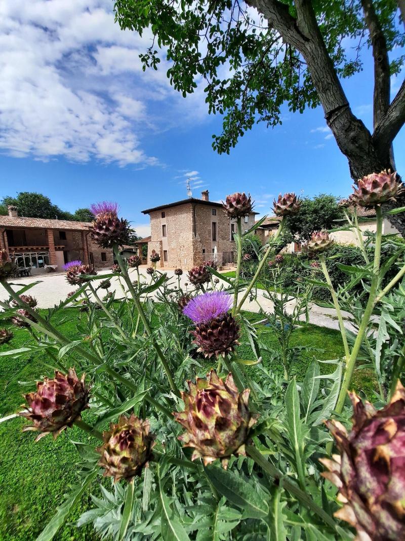 Agriturismo Corte Davini image