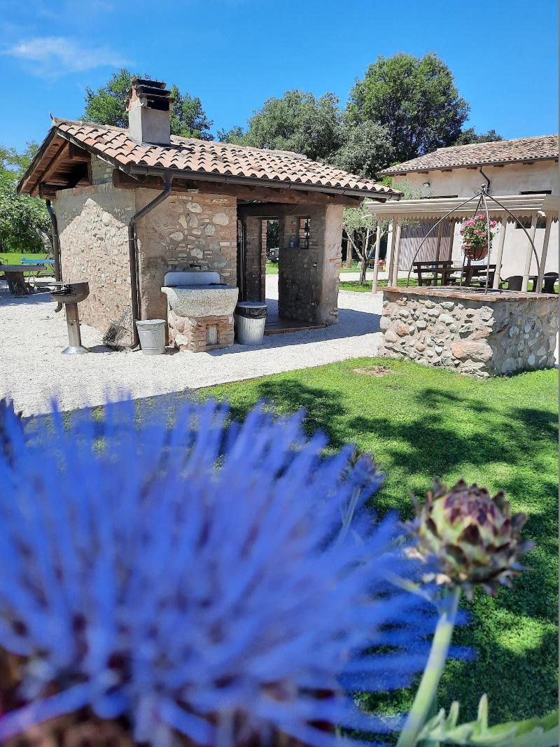 Agriturismo Corte Davini image