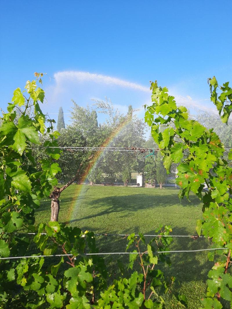 Agriturismo Corte Davini image