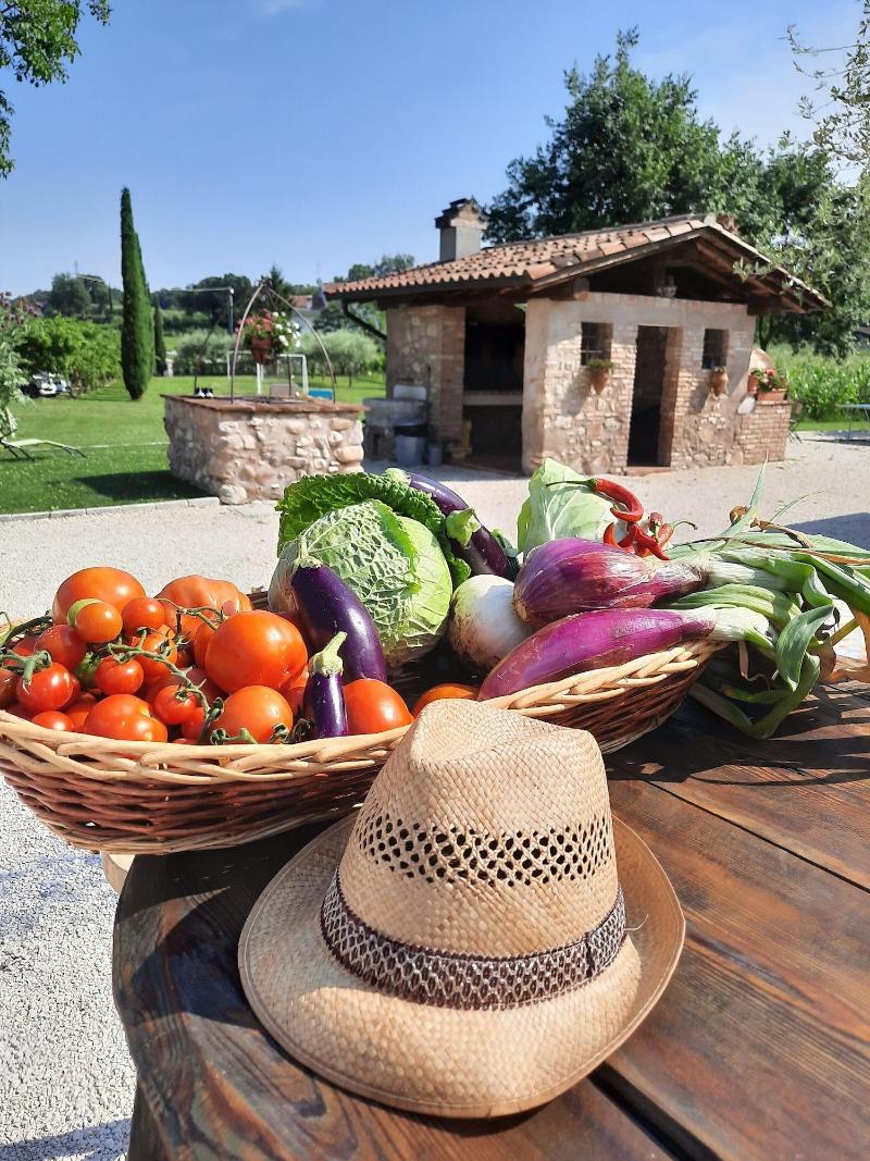 Agriturismo Corte Davini image