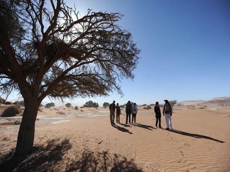 Hoodia Desert Lodge image