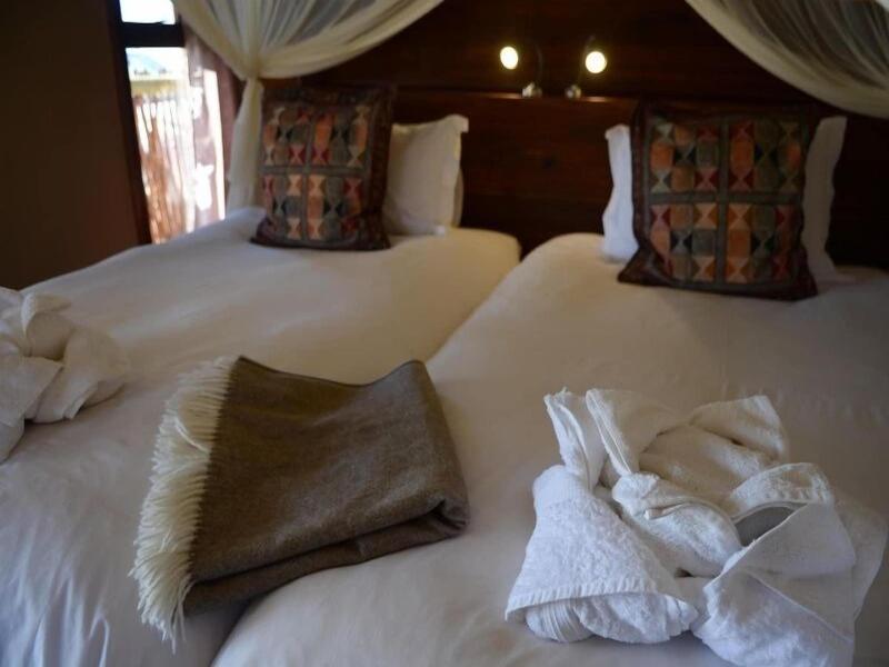 Hoodia Desert Lodge image