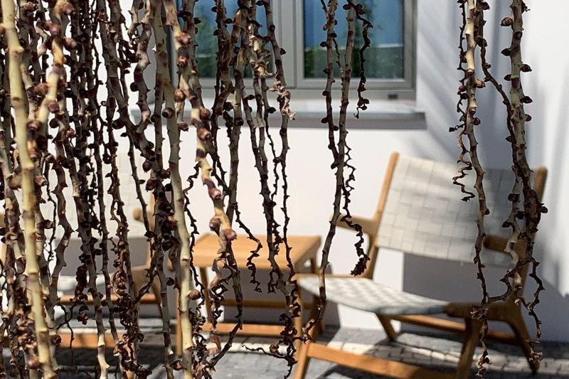 Calheta Boutique Houses - Adults Only image