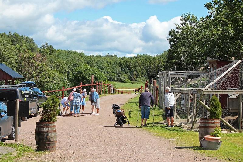 Farmlodge image