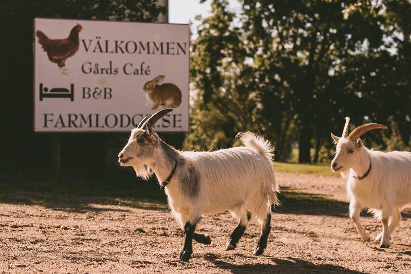 Farmlodge image