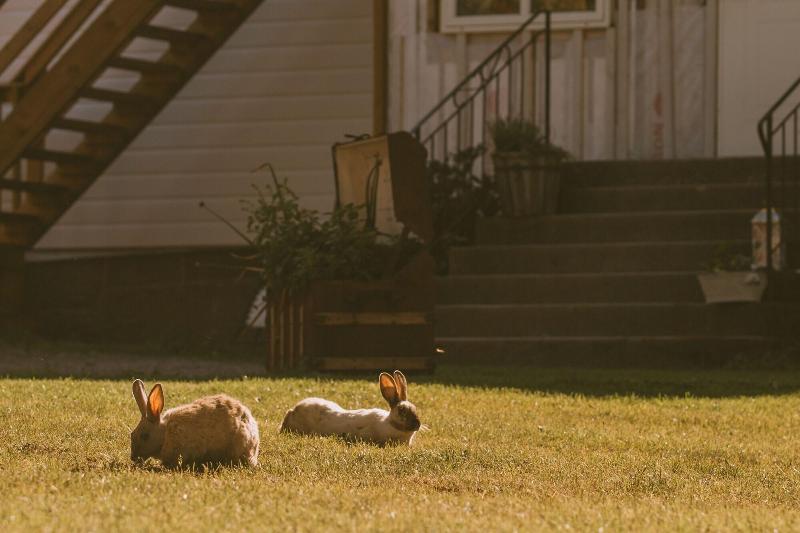 Farmlodge image