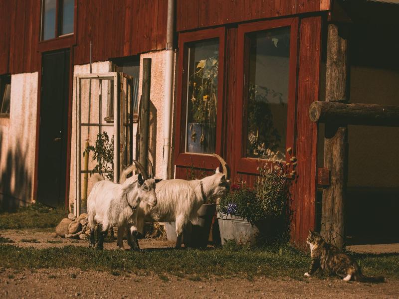Farmlodge image