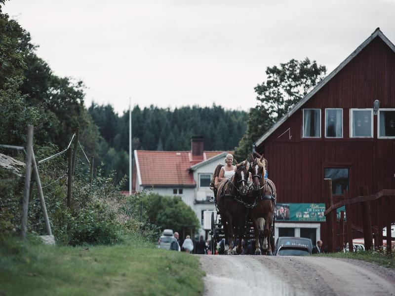 Farmlodge image