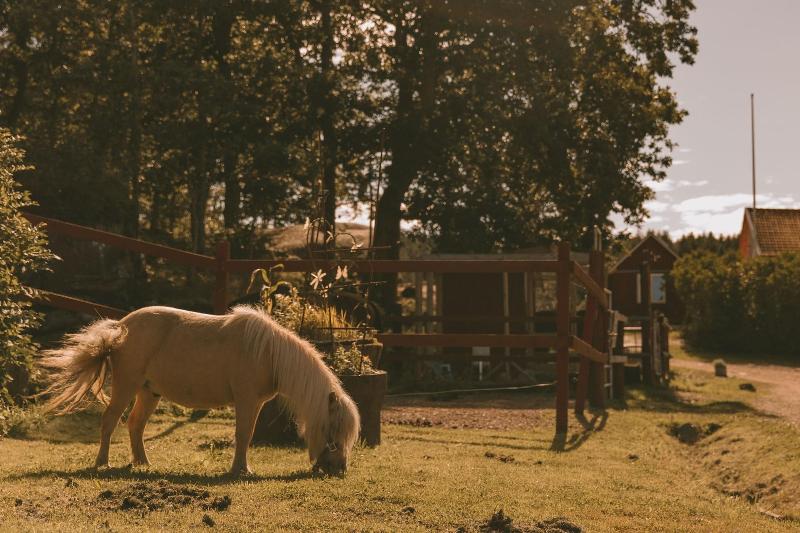 Farmlodge image