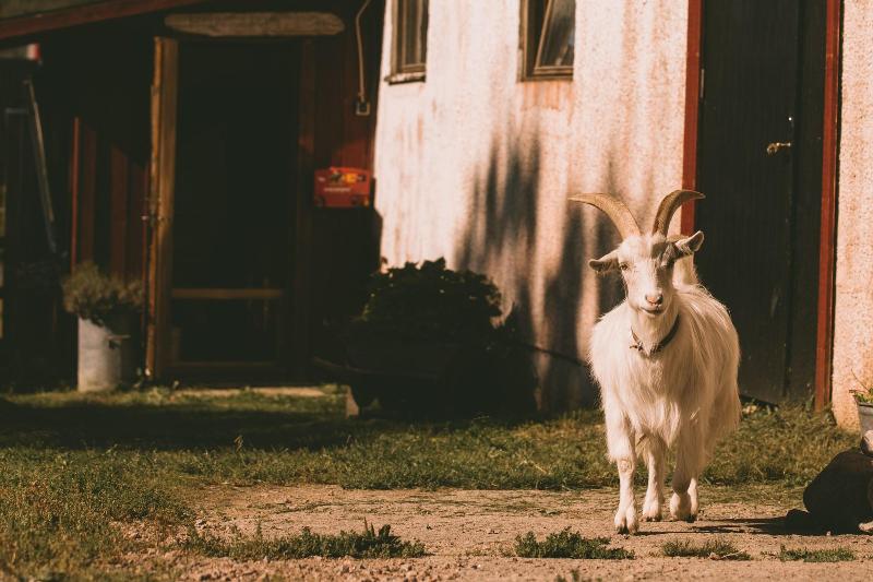 Farmlodge image