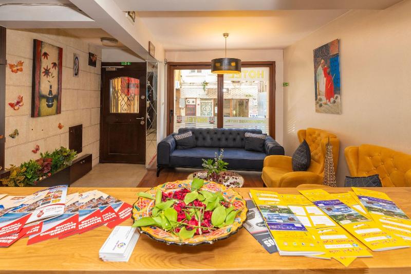 Opera House Hotel image