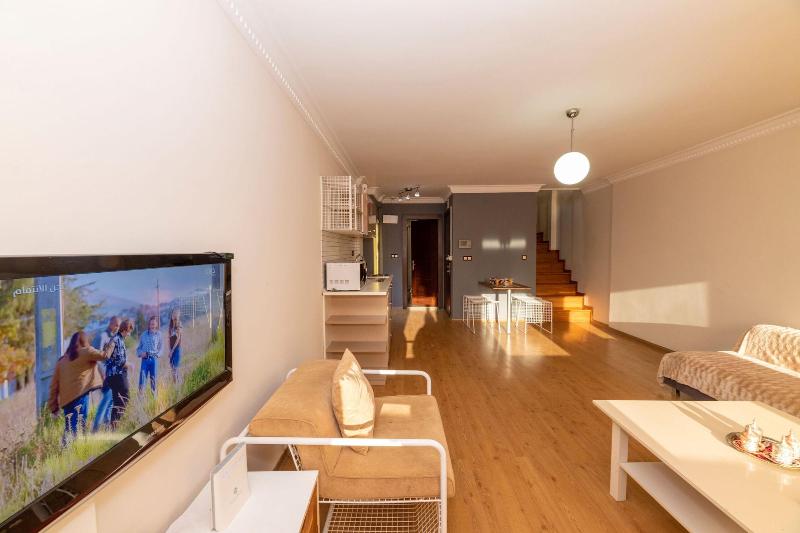 Opera House Hotel image