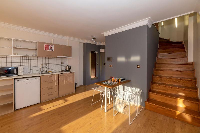 Opera House Hotel image