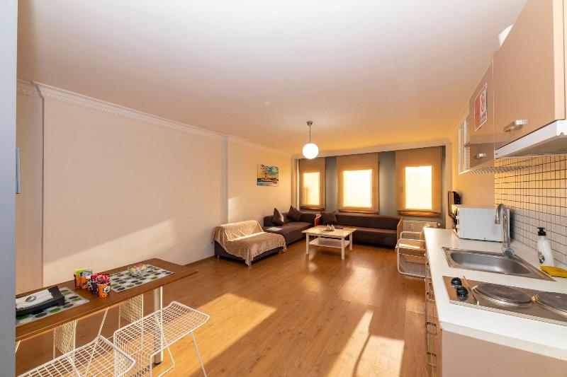 Opera House Hotel image