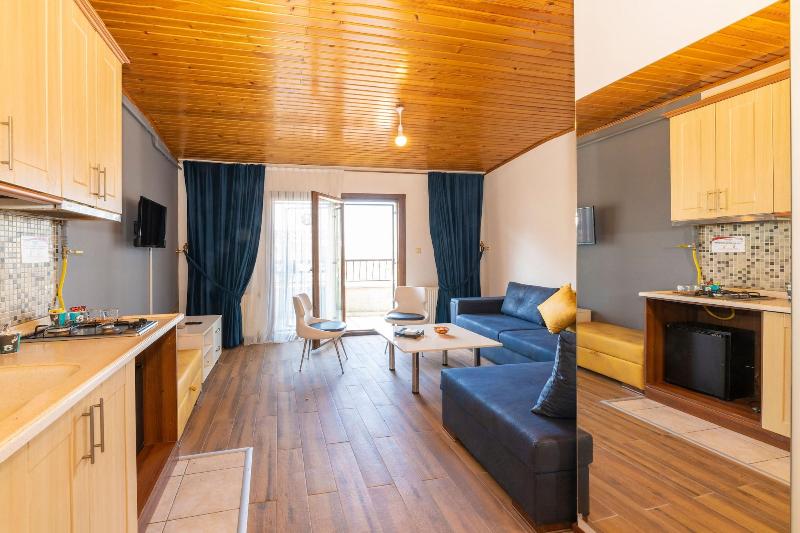 Opera House Hotel image