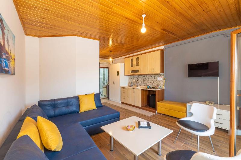 Opera House Hotel image