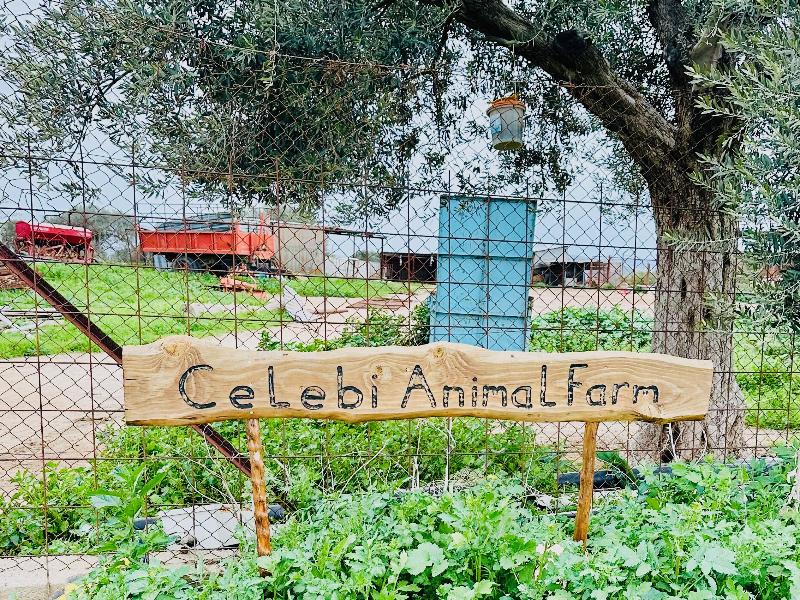 Celebi Garden Hotel image