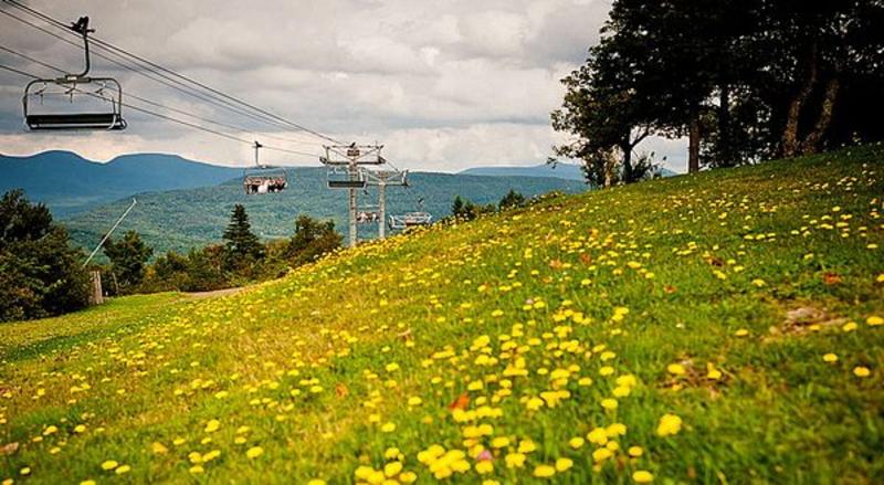 Kaatskill Mountain Club & Condos by Vail Resorts image