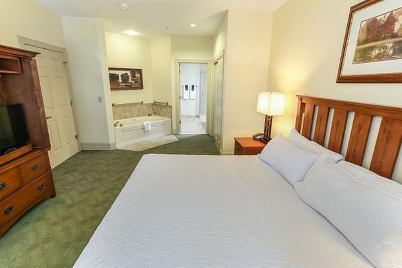 Kaatskill Mountain Club & Condos by Vail Resorts image