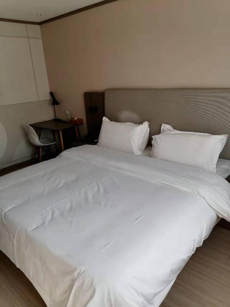 Hanting Hotel (Hengshui Railway Station Huizhong S image