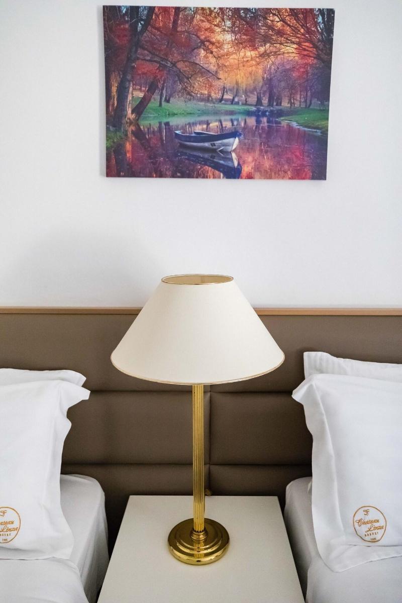 Chateau Linza Resort image