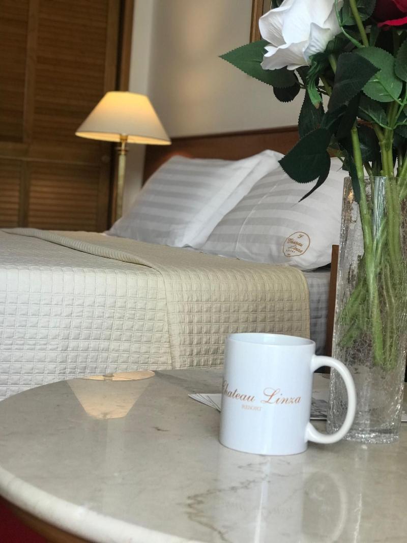 Chateau Linza Resort image