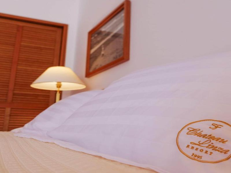 Chateau Linza Resort image