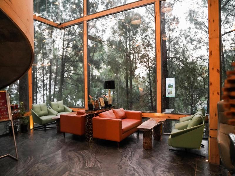 Kasauli Hills Resort image