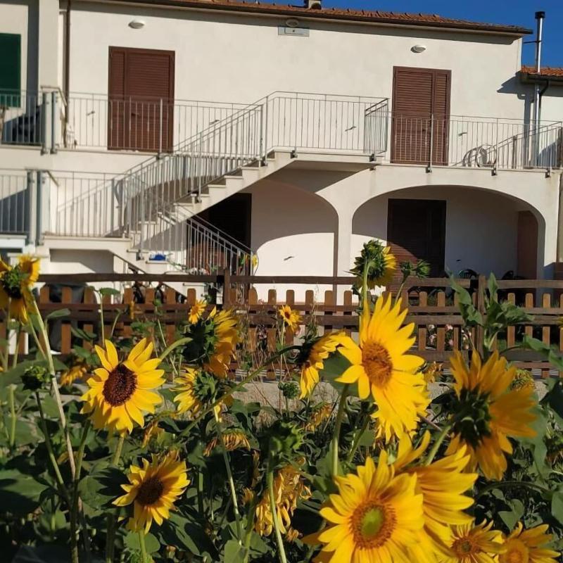 Podere Valle dei Venti image