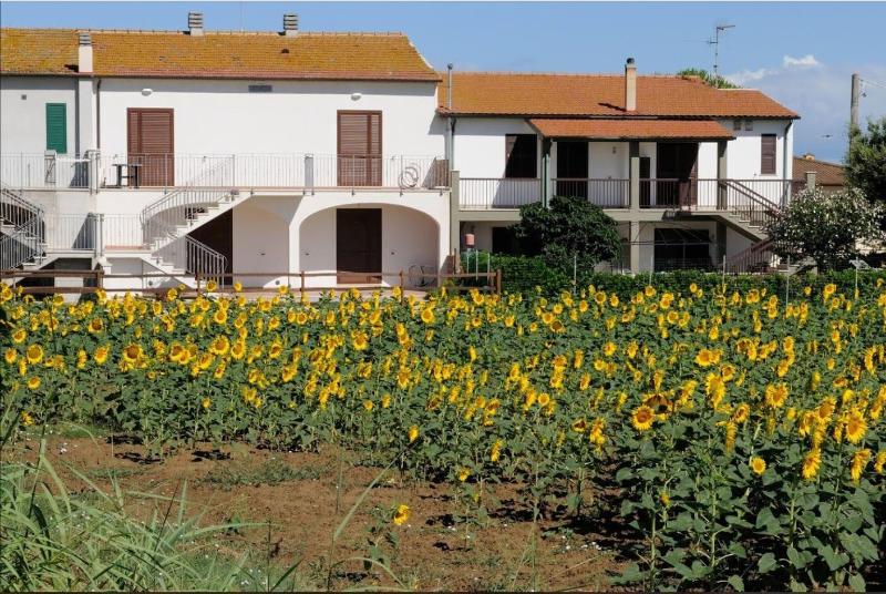 Podere Valle dei Venti image