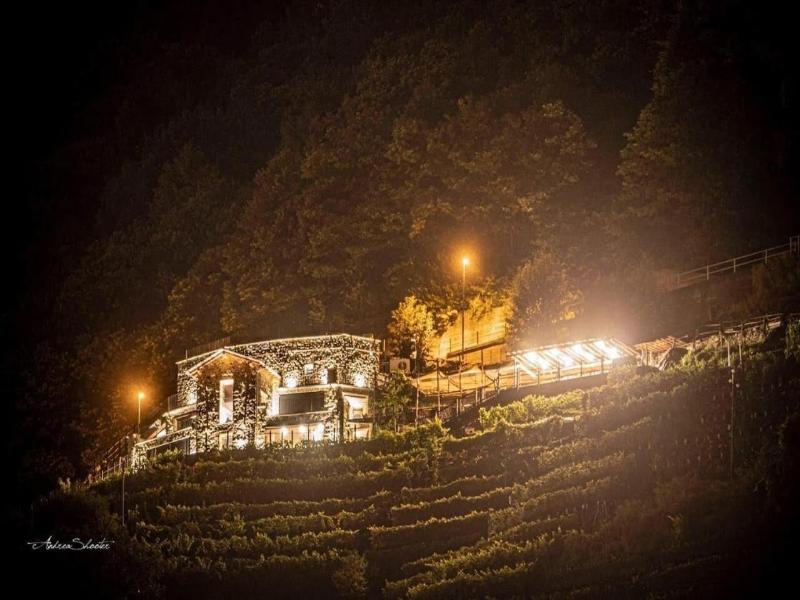Agriturismo Ca' Pianazola image