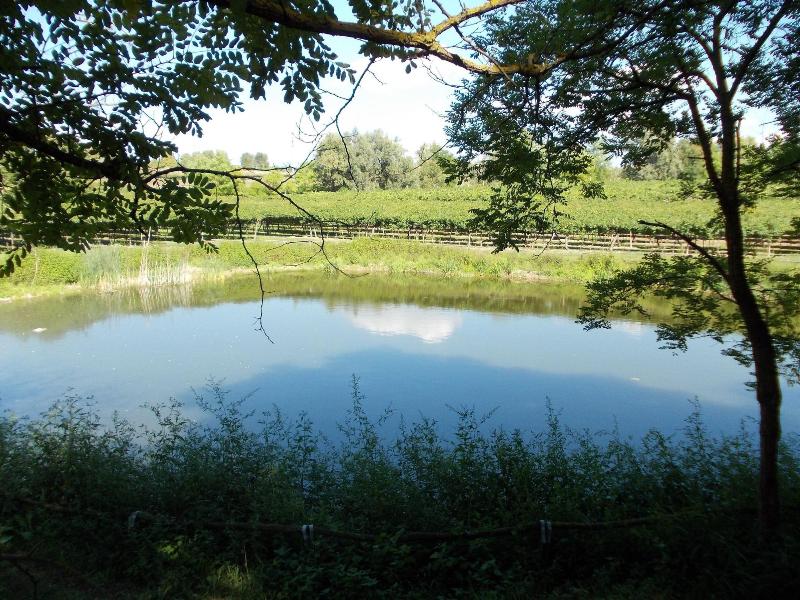 Agriturismo Ca' Vecia image