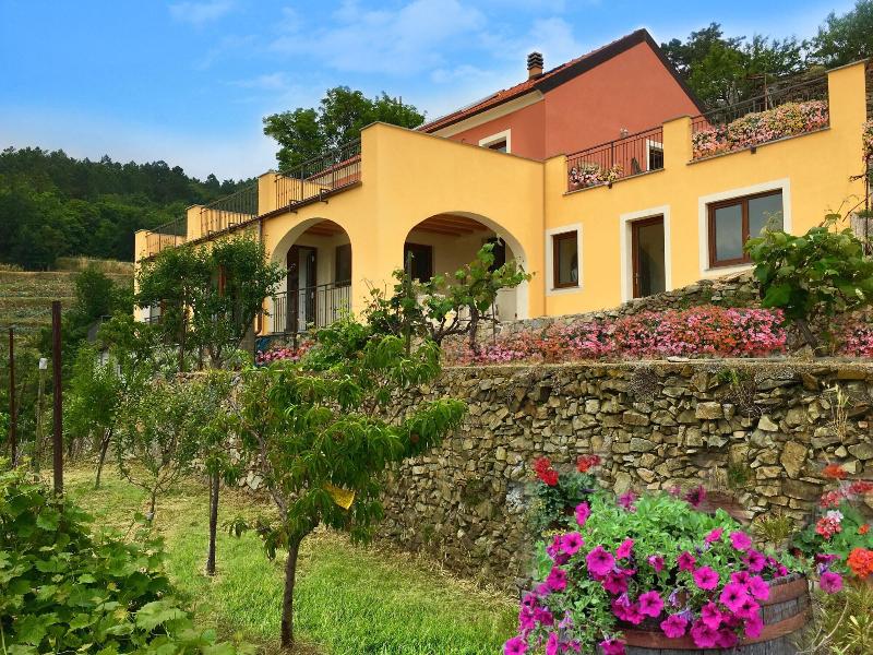 Agriturismo LaValleggia image