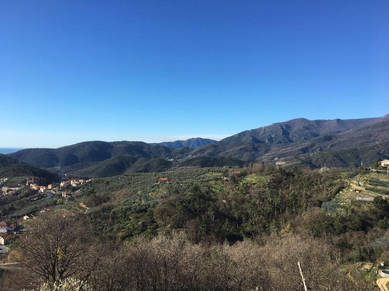 Agriturismo LaValleggia image