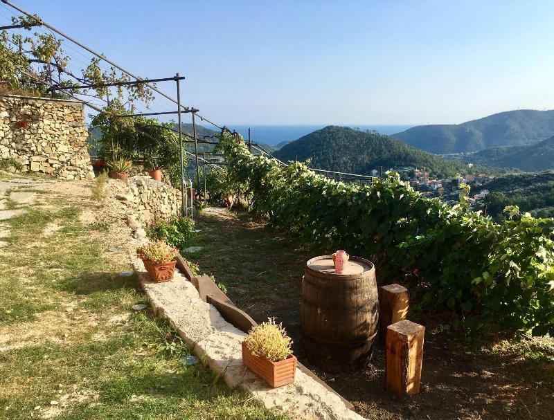 Agriturismo LaValleggia image