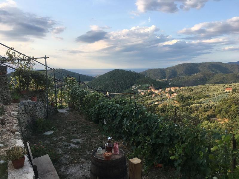Agriturismo LaValleggia image