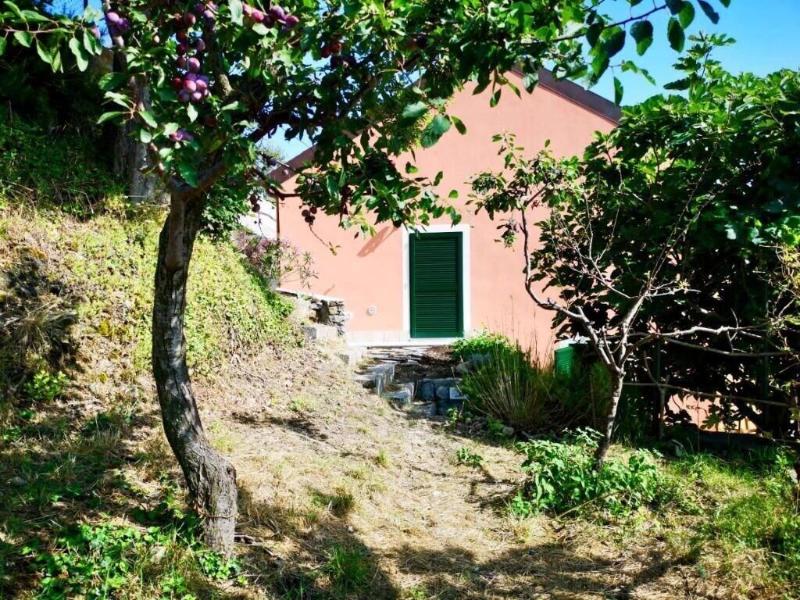 Agriturismo LaValleggia image