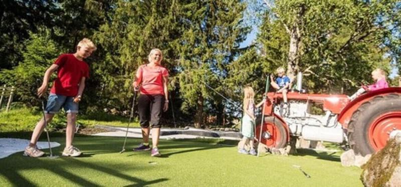Topcamp Hallingdal - Al