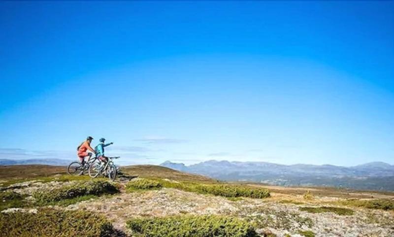 Topcamp Hallingdal - Al